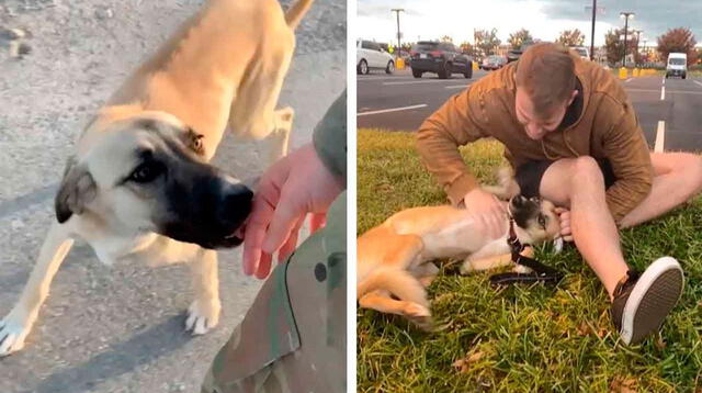 Un joven militar se encariñó con un perro abandonado; sin embargo, tuvo que dejarlo al regresar a su casa.