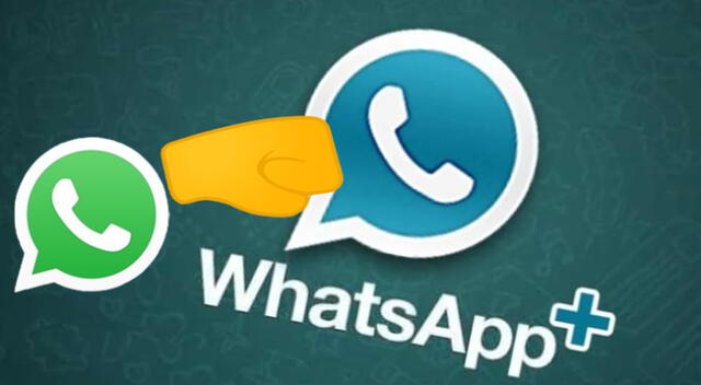 Todo lo que debes saber sobre las versiones de WhatsApp | Foto: Composición EP