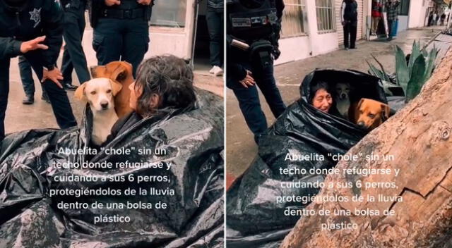 La abuelita se negó ir a un refugio porque no quería abandonar a sus mascotas.