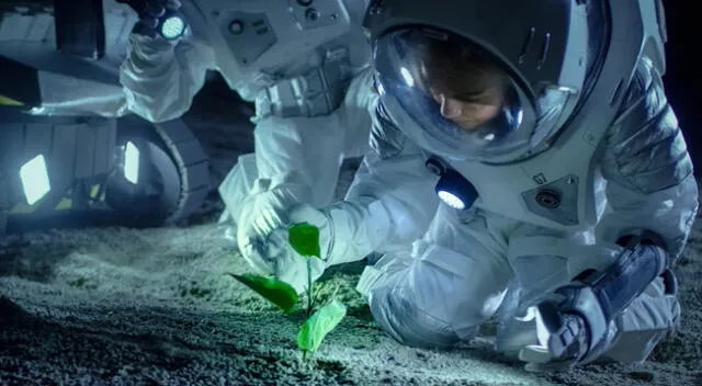 La NASA ha convocado el concurso Deep Space Food Challenge junto a la Agencia Espacial Canadiense.