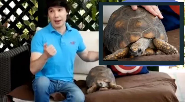 Bruno Pinasco relata cómo adoptó a su tortuga.