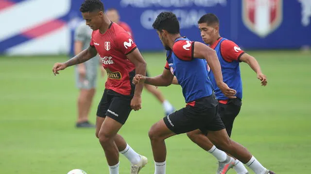 Selección Peruana inició microciclo en Videna sin Ricardo Gareca