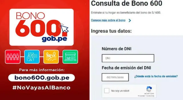 Conoce a qué grupo de beneficiarios del bono 600 perteneces.