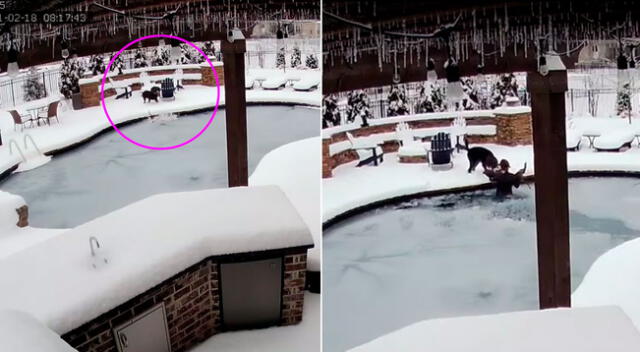 La mujer recorrió la piscina congelada para hallar a su mascota.