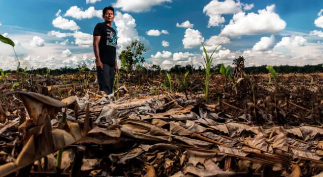 En los últimos siete años 12 líderes defensores del medio ambiente fueron asesinados solo en la Amazonía y cuatro de ellos fueron atacados en pleno estado de emergencia por la pandemia.