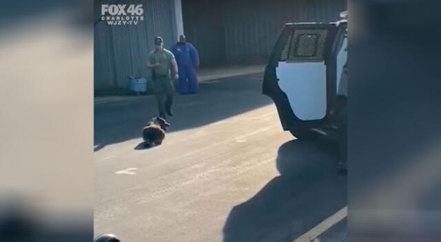Policia golpeó al perro en Estados Unidos