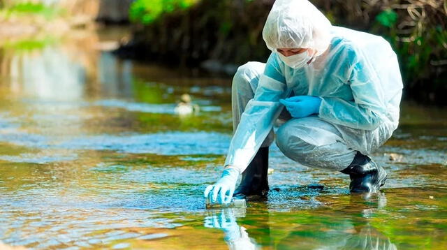 El virus fue hallado en aguas residuales de la ciudad de Florianopolis, ciudad de Brasil.