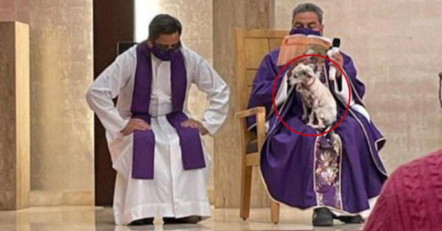 Sacerdote dio una misa junto a su perro enfermo para no dejarlo solo.