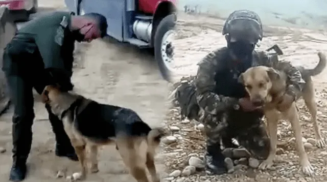 Soldados salvan la vida de un perrito callejero que quedó ciego y lo unen a su tropa.