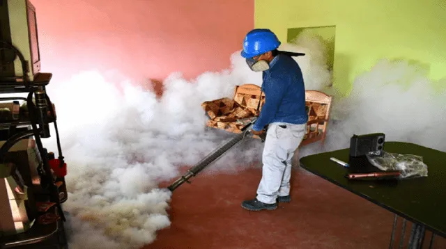 Personal de salud fumigará las viviendas para prevenir brotes de dengue.