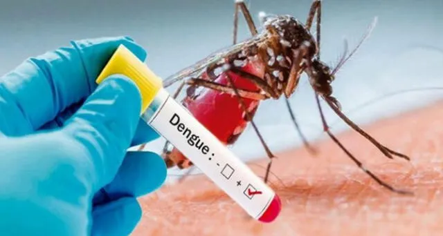 En los últimos días, el Minsa advirtió la presencia de dengue en varios distritos de Lima.