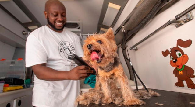 Pandemic Pup Relief recauda dinero para poder atender a todas esas mascotas que necesitan o requieren de sus cuidados y servicios.