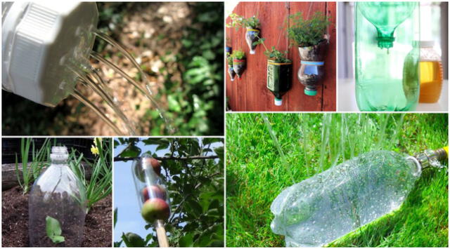 Aquí te proponemos formas diferentes de usar botellas plásticas en tu jardín, huerta o en macetas.