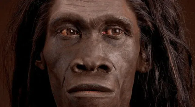 Los Homo erectus clásicos habitaron en Asia oriental.