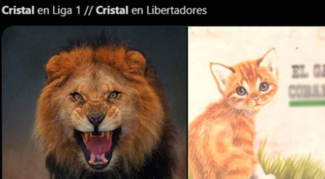 Usuarios crearon divertidos memes por la caída de Cristal ante Sao Paulo.