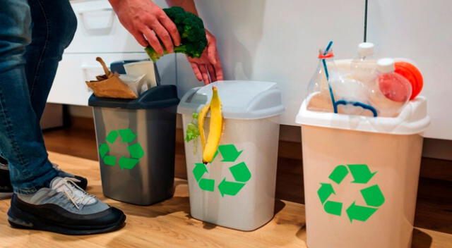 Mira aquí cuatro recomendaciones esenciales para realizar desde el hogar una buena clasificación de residuos