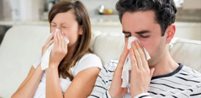 La influenza o gripe estacional, como su nombre lo dice, es un virus presente en la estación de otoño.
