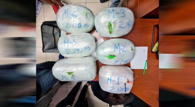 "Repartidor de delivery" llevaba escondido 12 kilos de droga.