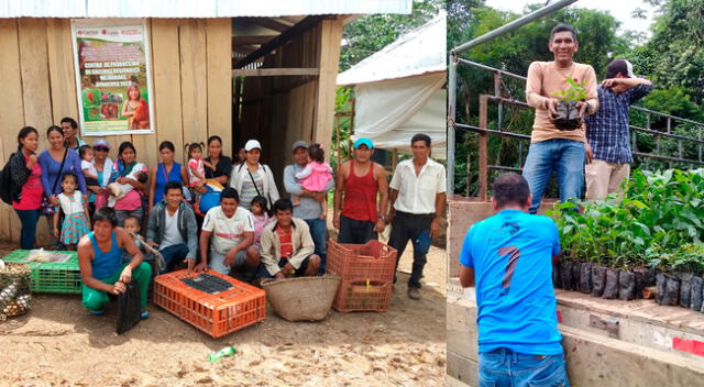 Cáritas llevó el proyecto “Gestión del territorio para la reducción del riesgo de desastres y adaptación al cambio climático, garantizando la soberanía alimentaria en zonas bajas de la Amazonia peruana, provincia Alto Amazonas, Loreto”.
