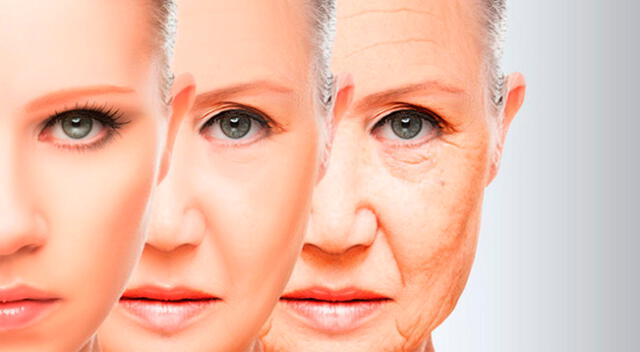 La investigación demostró que a los pocos años una persona comienza a envejecer. Este proceso consta de tres etapas: a los 34, 60 y 78 años de vida.