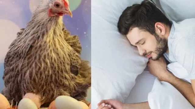 Interpretación de sueños: ¿Qué significa soñar con huevos de gallina?