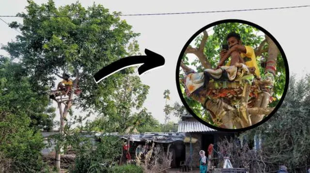 El pasado 4 de mayo un estudiante de 18 años en la India tomó la decisión de hacer una cama improvisada a lo alto de un árbol.
