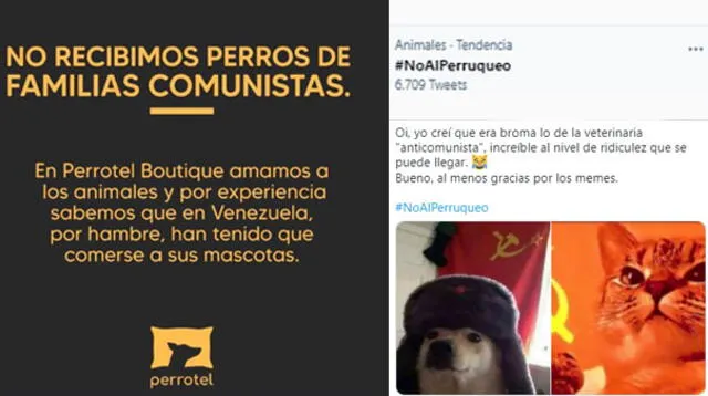 #NoAlPerruqueo: critican en Twitter a veterinaria que no recibirá a perros de “familias comunistas”.