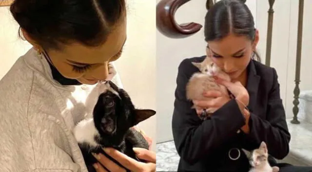 La Miss Perú, Janick Maceta, aprovechó para pedirle a sus seguidores abrirle sus hogares a una nueva mascota.