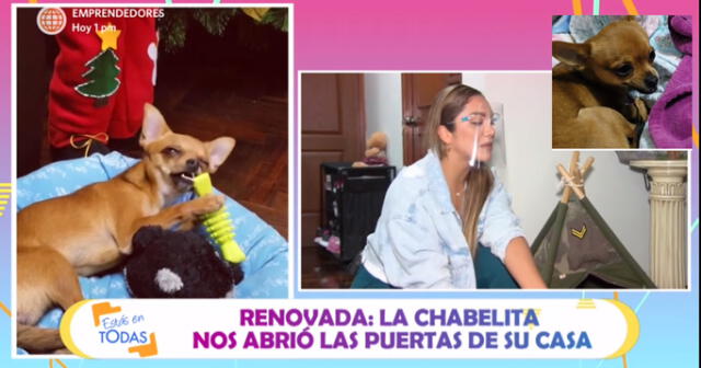 Isabel Acevedo habla sobre su perrito Hércules.