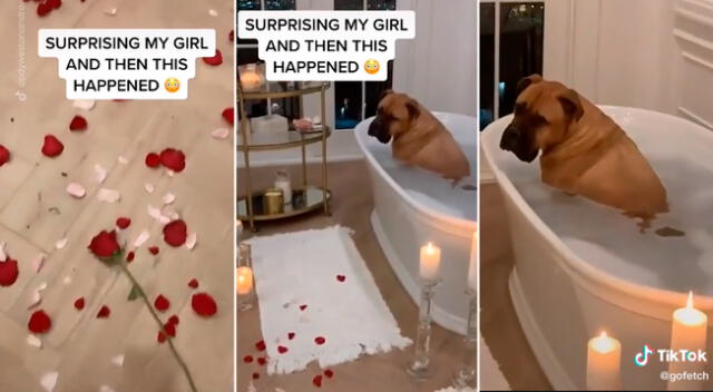 El perrito disfrutó de un baño de espuma mientras su dueño preparaba la sorpresa.