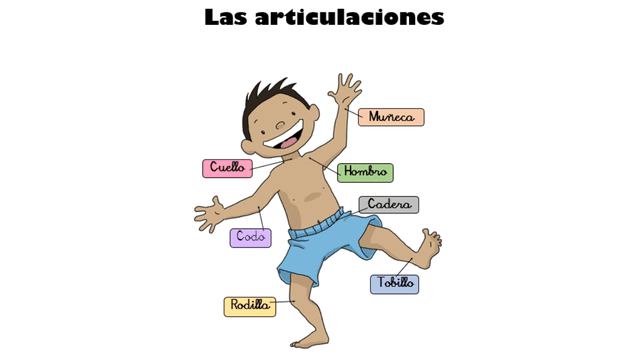 Potencia tu movilidad: conoce la función clave de las articulaciones y mantén su salud. ¡Infórmate y vive sin límites!