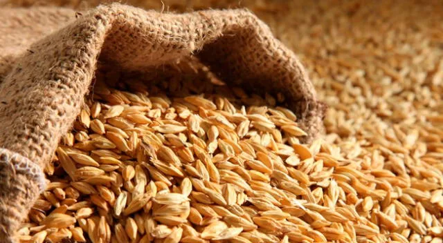 La cebada disminuye el hambre en gran medida a través de su alto contenido de fibra.
