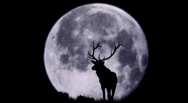 Luna llena de ciervo también es conocida como ‘Luna de trueno’ o ‘Luna de heno’.