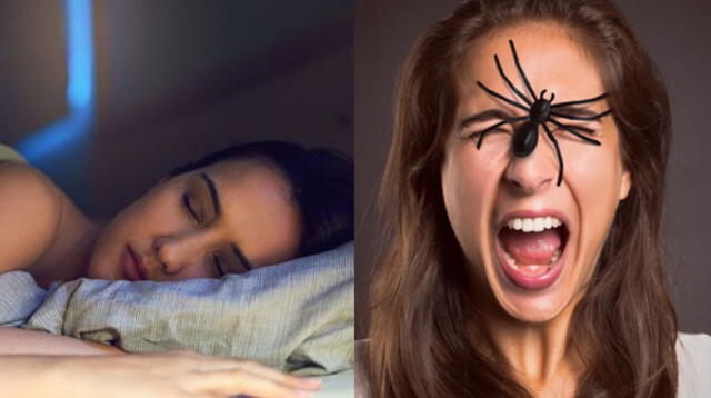 ¿Qué significa soñar con arañas y matarlas? ¿Será buen presagio?