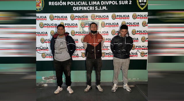 Ladrones detenidos en Depincri SJM.
