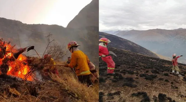 Bomberos lograron sofocar incendio forestal en los cerros Wispacunca y Curi.