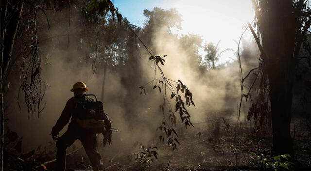 Fotografía de septiembre del 2019 que muestra a bomberos mientras participan en la extinción de un incendio en el sur del estado de Amazonas, en Brasil.