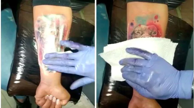 perrita tatuada en brazo de mujer