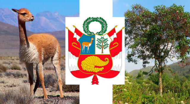 Entre los elementos del Escudo Nacional del Perú destacan la vicuña y el árbol de la quina considerados como símbolos nacionales.