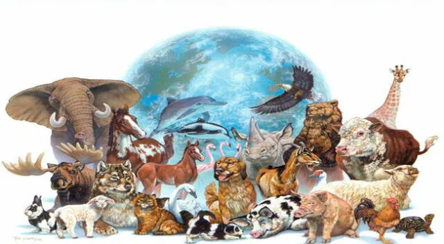 El reino animal tiene una gran diversidad de componentes que mantienen el equilibro de la naturaleza.