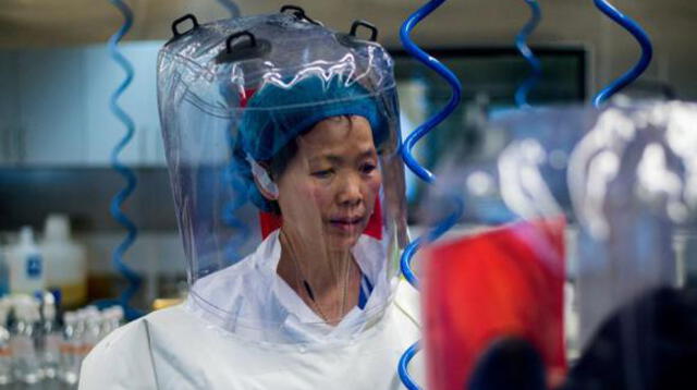 “La COVID-19 continuará mutando”: La dura advertencia de la viróloga china Shi Zhengli sobre la pandemia.