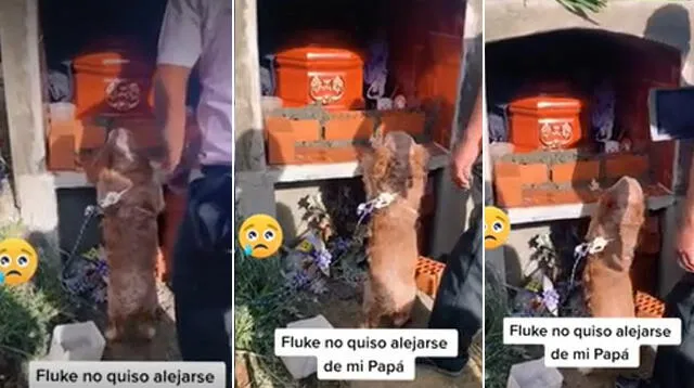 El video se ha vuelto viral en las redes sociales.