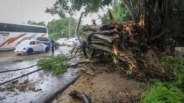 Los meteorólogos han advertido que Ida puede causar una marejada y vientos huracanados que pueden llegar a ser "catastróficos". Foto: Reuters
