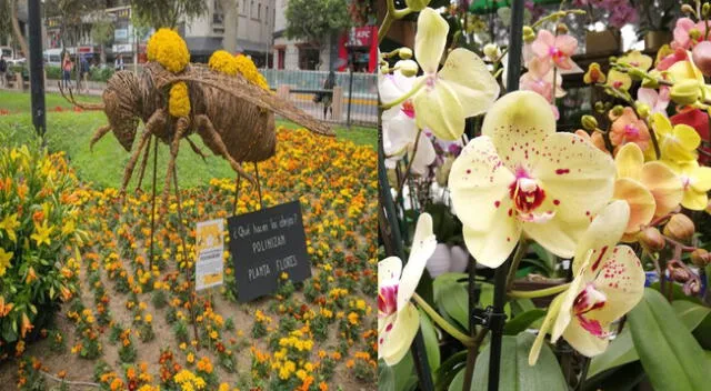 Perú Flora 2021 apoyará a la reactivación de la floricultura
