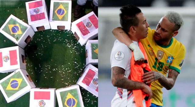 Perú y Brasil se enfrentan este jueves por las Eliminatorias Qatar 2022 y el cuy dio su predicción.