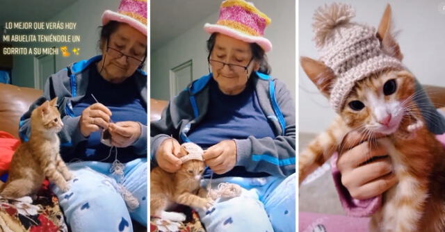 Lo más lindo. Abuela consentidora tejió lindo sombrero a su gatito para que no pase frío.