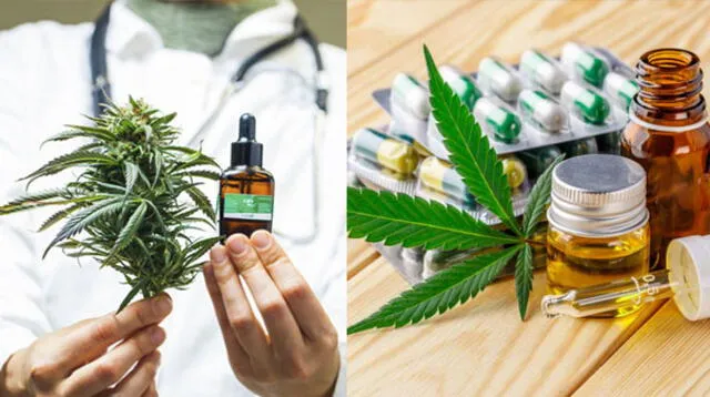 Conoce todo sobre los beneficios del cannabis medicinal.