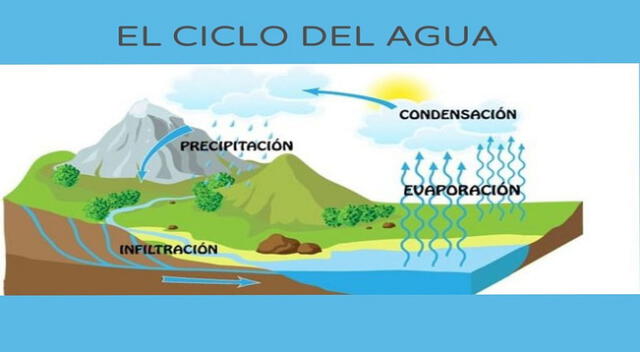 Es importante conocer el ciclo hidrológico para preservar el agua.