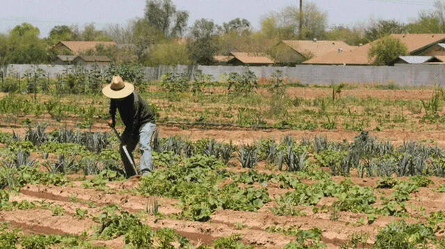Midagri: segunda reforma agraria será con visión empresarial
