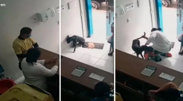 Perro callejero pidió ayuda en la veterinaria para sanarse de su pata.